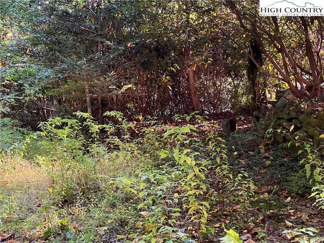 $112,500 | Winterberry Trail, Boone, NC 28607