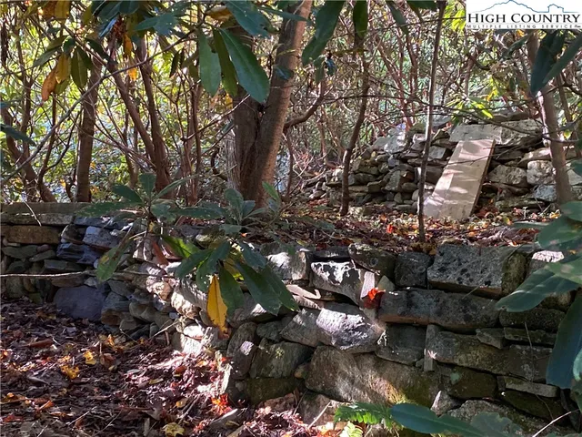 a view of a large yard with plants and large trees