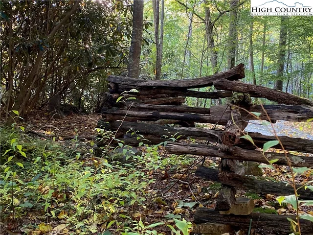 a view of a yard with lots of plants and trees