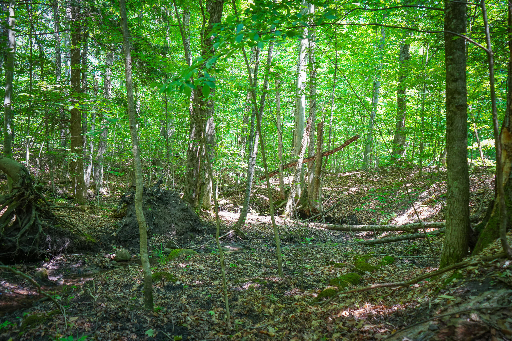11371 East 40th Street Reed City, MI 49677 - Photo 21 of 68 DSC02428