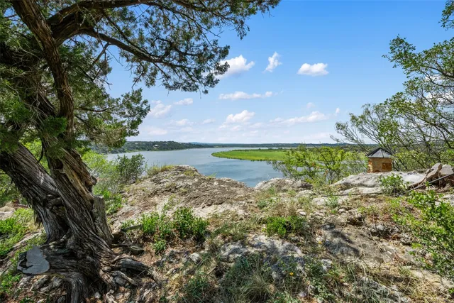 a view of a yard with a tree in the background
