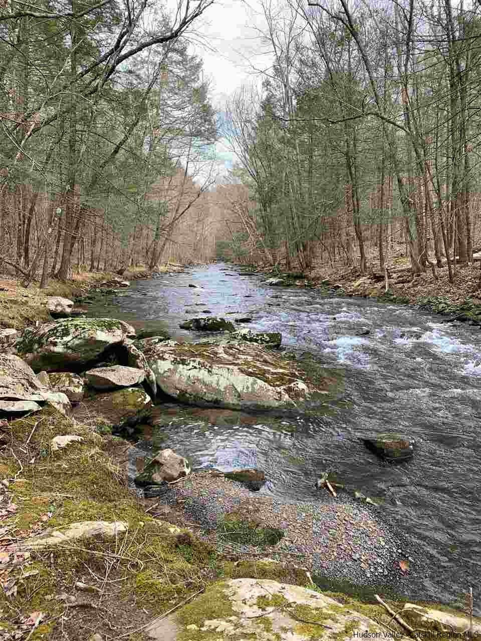 72 Little Deer Road Mount Tremper, NY 12457 - Photo 21 of 21 a view of a forest with trees