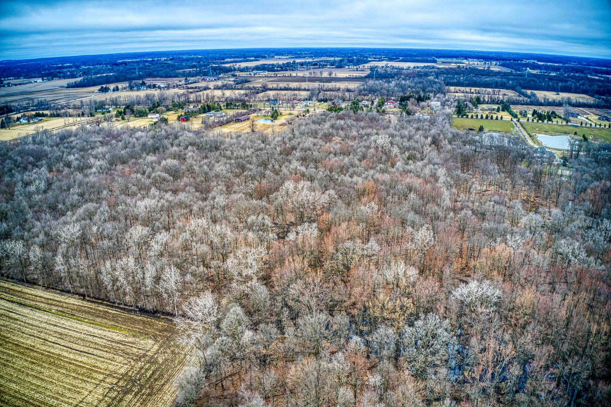 0 33 33 Mile Road Armada, MI 48005 - Photo 8 of 11