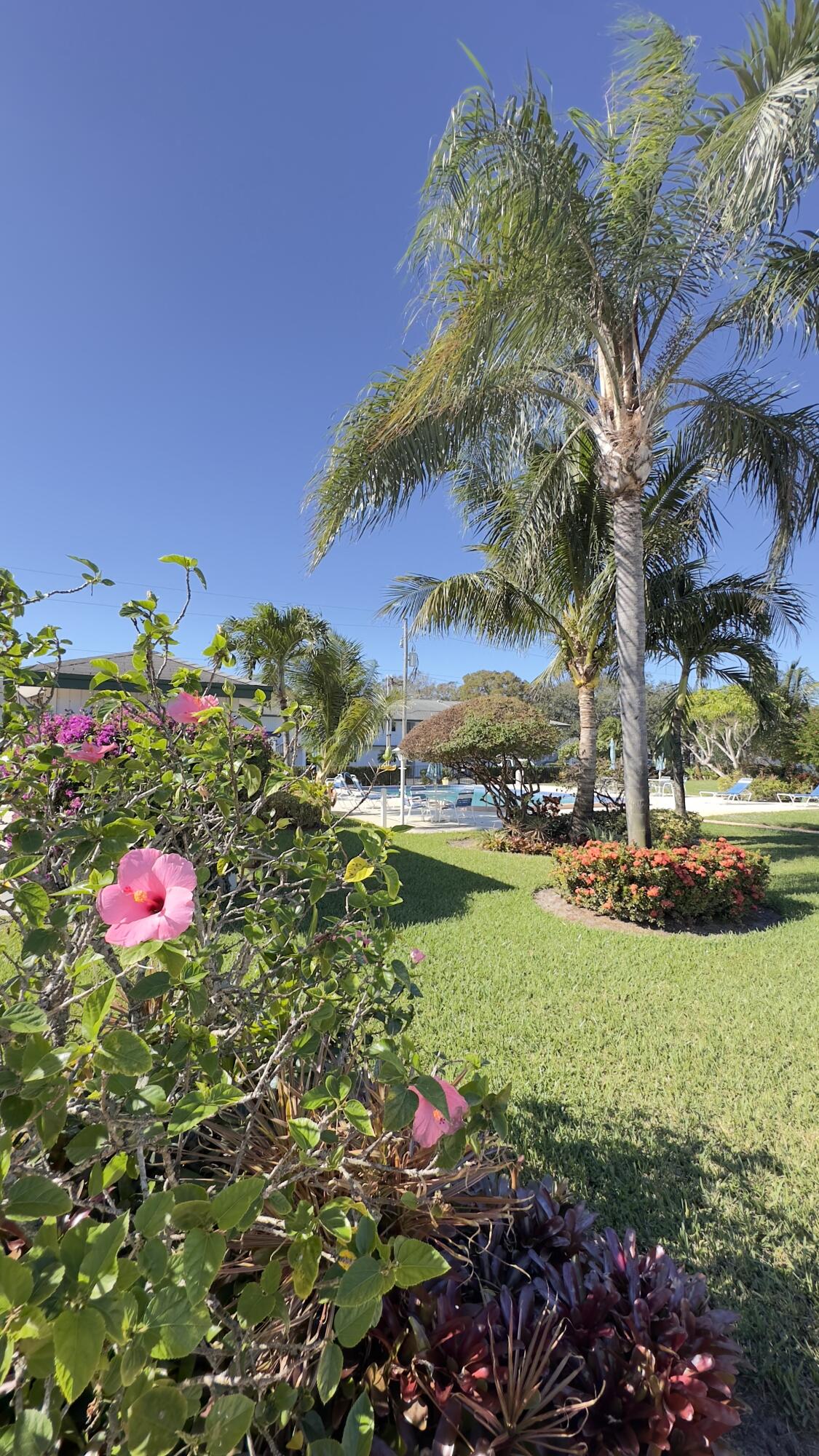 3 Garden Street, Unit 105K Tequesta, FL 33469 - Photo 13 of 41 a view of a flower in a garden