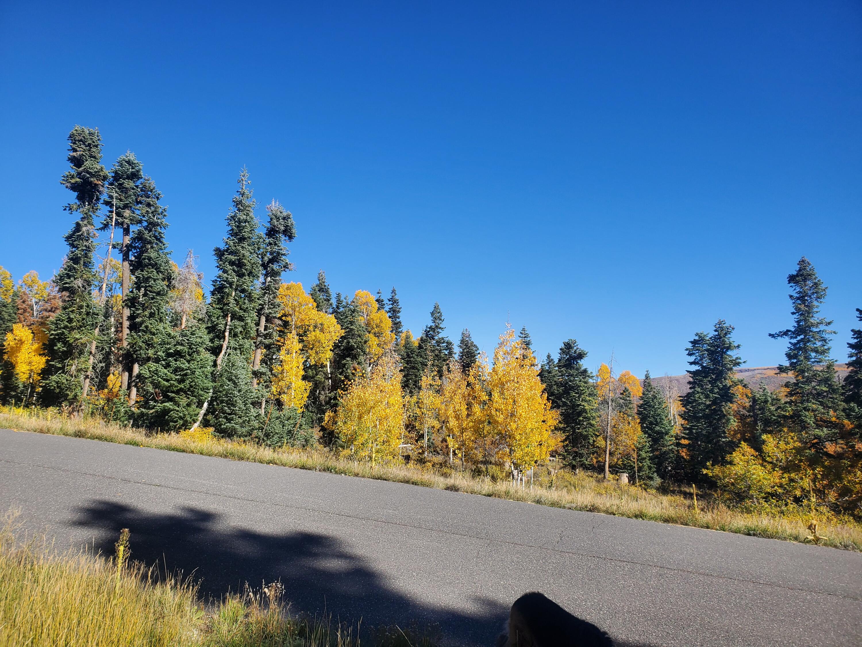 Kolob Ter Road Springdale, UT 84767 - Photo 5 of 11 20221014_101100