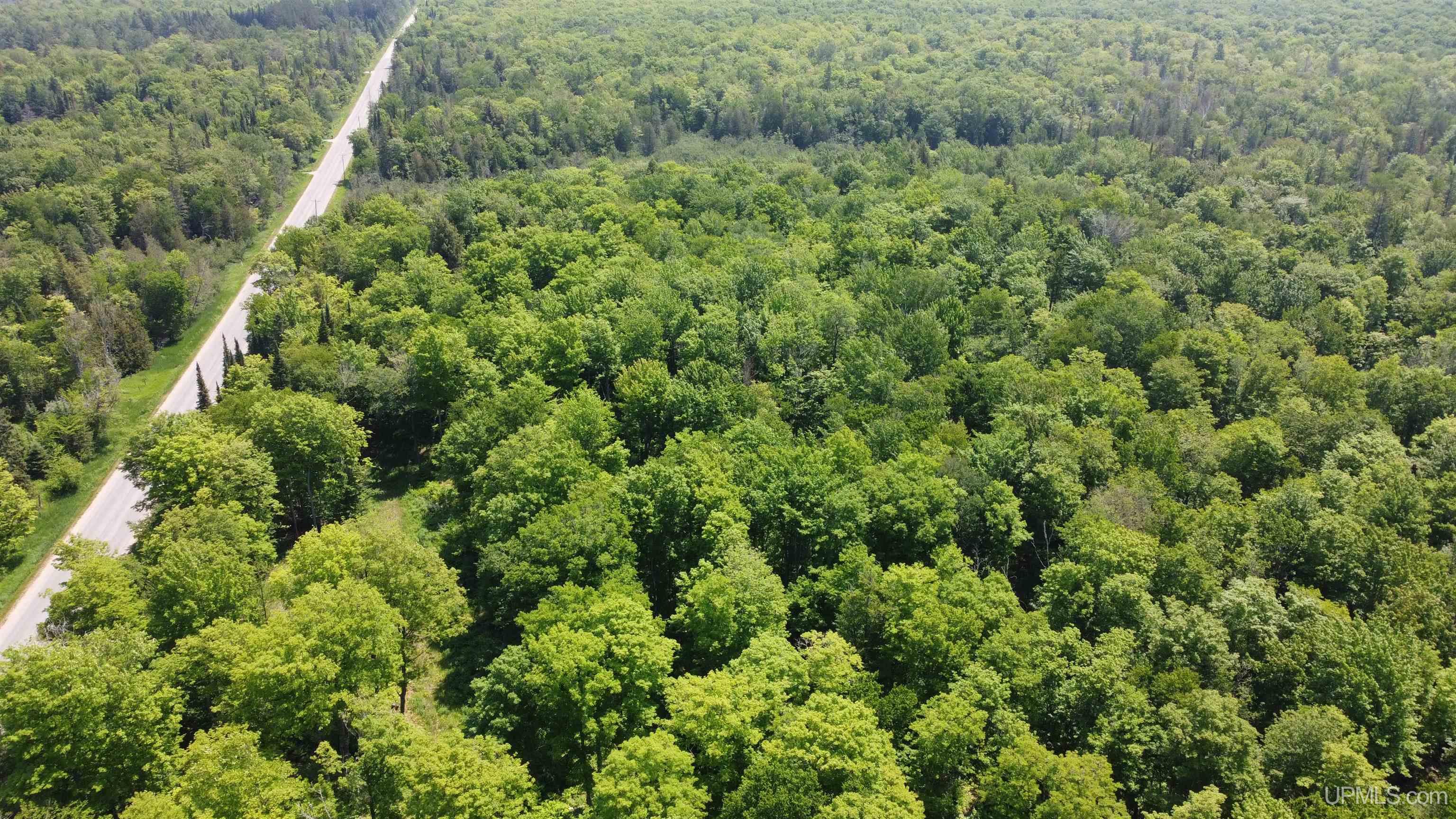 On East Shingleton Road Shingleton, MI 49884 - Photo 31 of 32