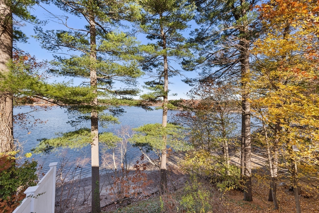 3 Suntaug Street Lynnfield, MA 01940 - Photo 5 of 42 a view of a yard with plants and large trees