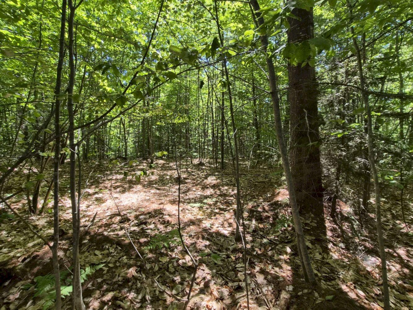 Mu23-l19b Holley Road Farmington, ME 04938 - Photo 2 of 6