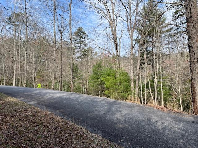 Lot 10 Lot Road Blairsville, GA 30512 - Photo 1 of 8 Main View