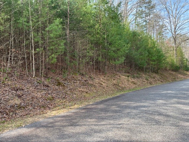 Lot 10 Lot Road Blairsville, GA 30512 - Photo 3 of 8