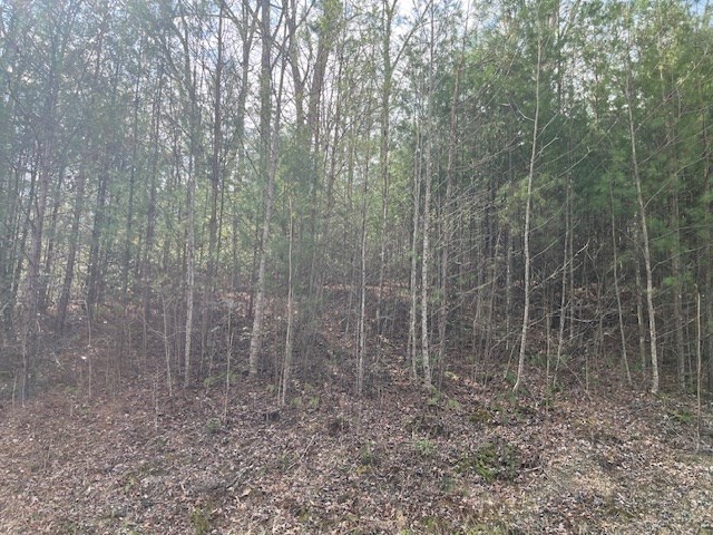 Lot 10 Lot Road Blairsville, GA 30512 - Photo 4 of 8