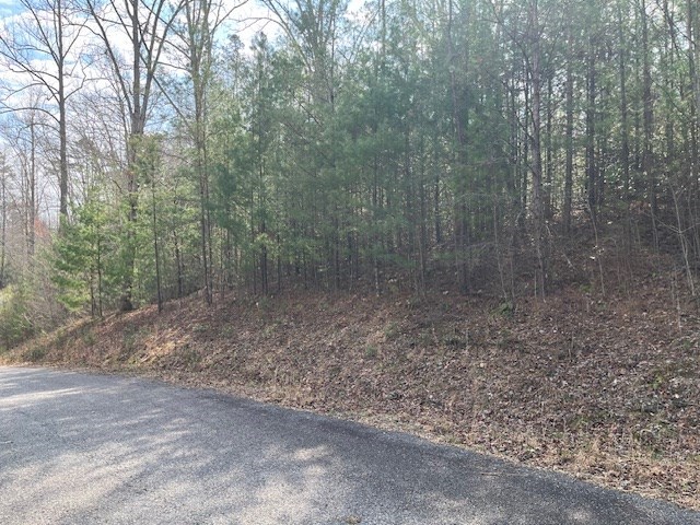 Lot 10 Lot Road Blairsville, GA 30512 - Photo 5 of 8