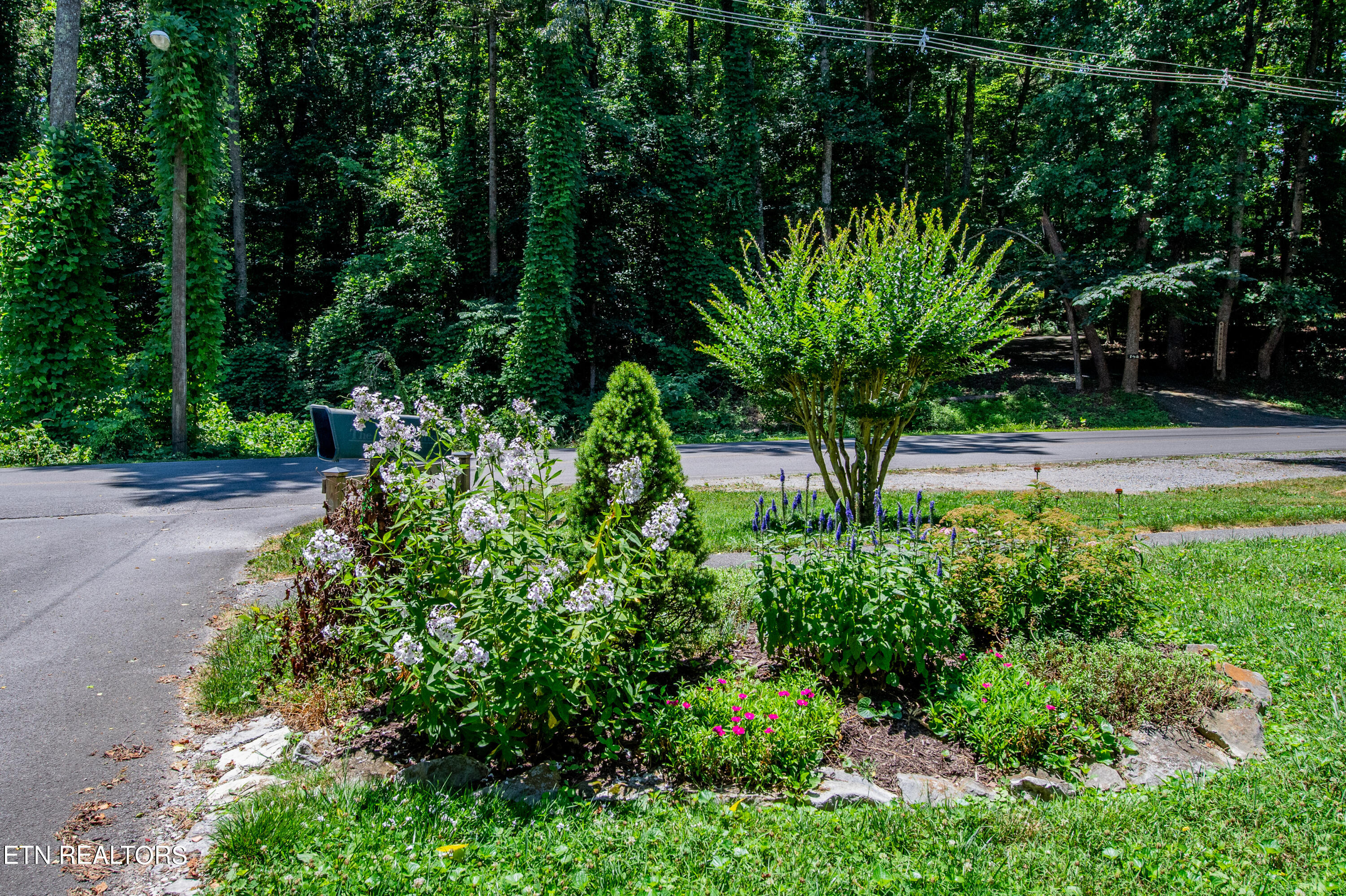 147 Orchard Road Norris, TN 37828 - Photo 33 of 41 HOB_2142