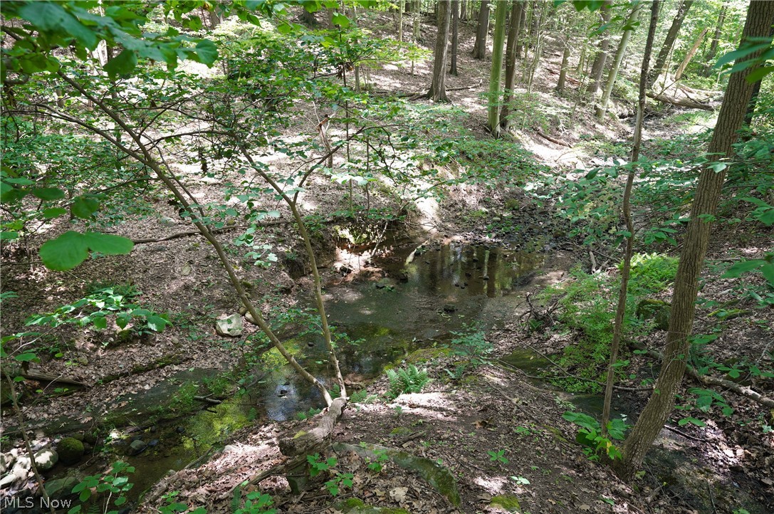 1123 North Hametown Road Akron, OH 44333 - Photo 7 of 9