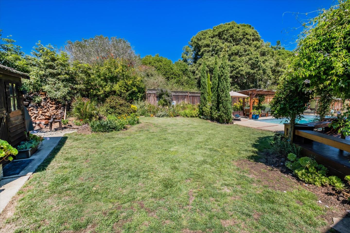 3386 Haas Drive Aptos, CA 95003 - Photo 41 of 56 a view of a yard with plants and large trees