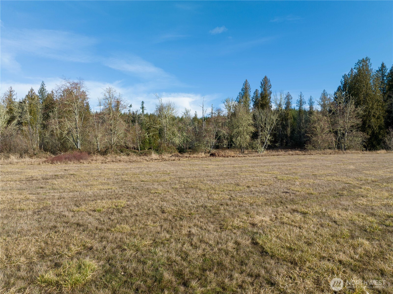 0 Crabill Road Toutle, WA 98649 - Photo 13 of 22 Gallery Image 13