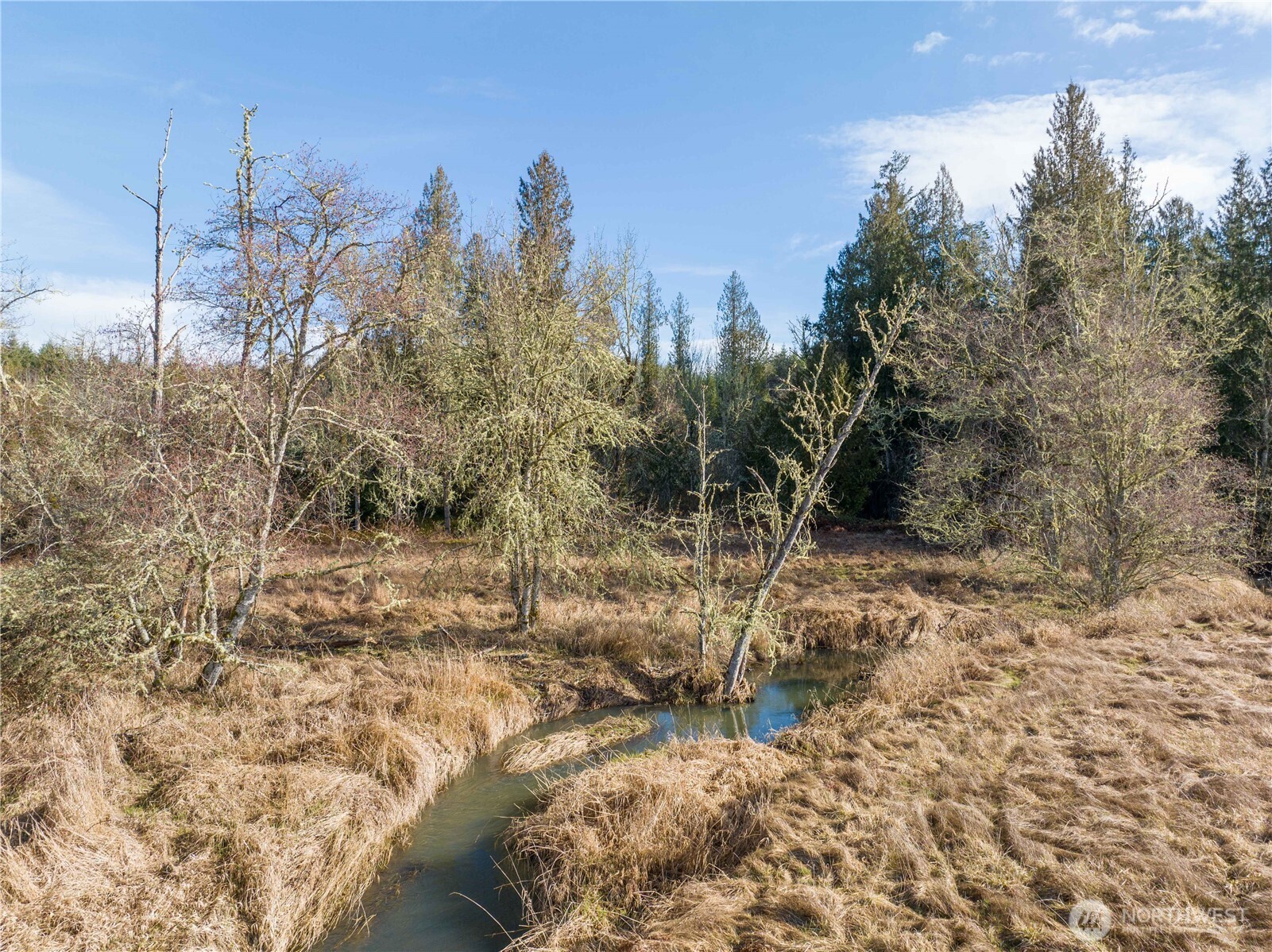 0 Crabill Road Toutle, WA 98649 - Photo 14 of 22 Gallery Image 14