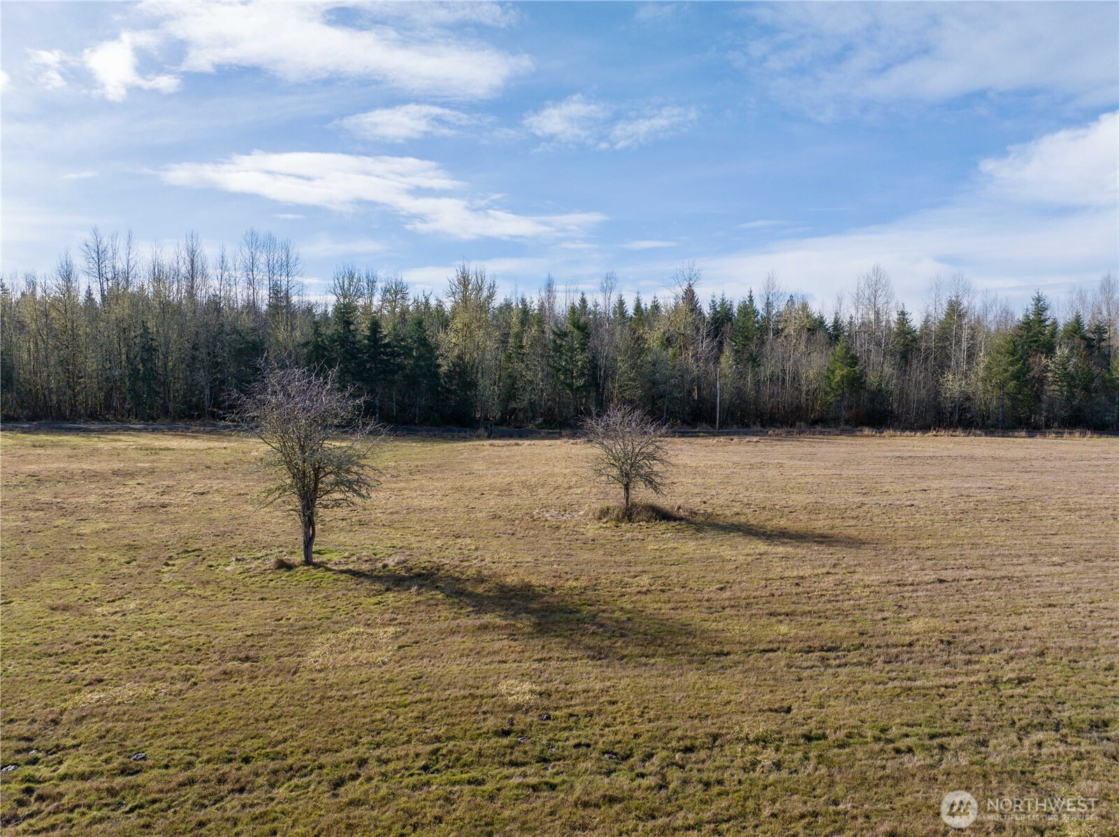0 Crabill Road Toutle, WA 98649 - Photo 17 of 22 Gallery Image 17