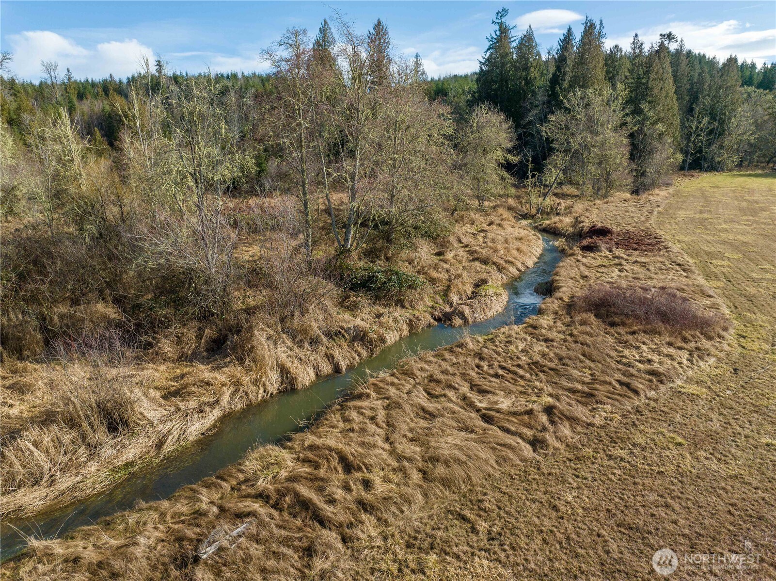 0 Crabill Road Toutle, WA 98649 - Photo 7 of 22 Gallery Image 7