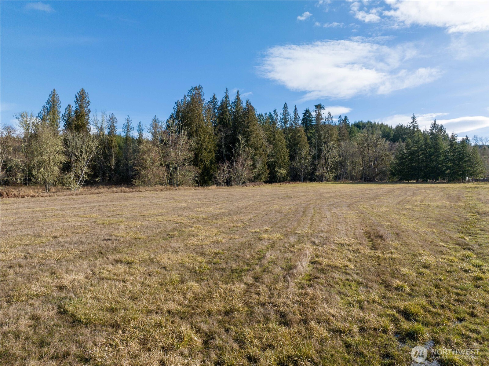 0 Crabill Road Toutle, WA 98649 - Photo 9 of 22 Gallery Image 9