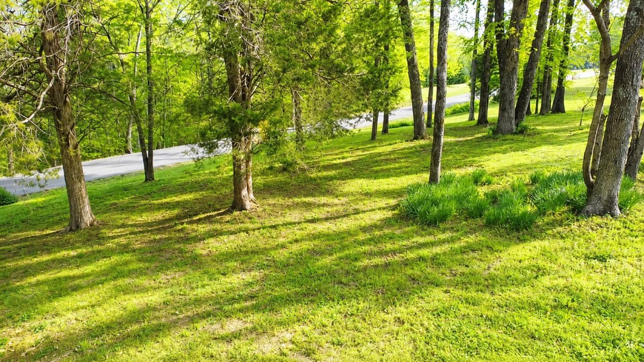 7311 Henry Road Fairview, TN 37062 - Photo 8 of 26