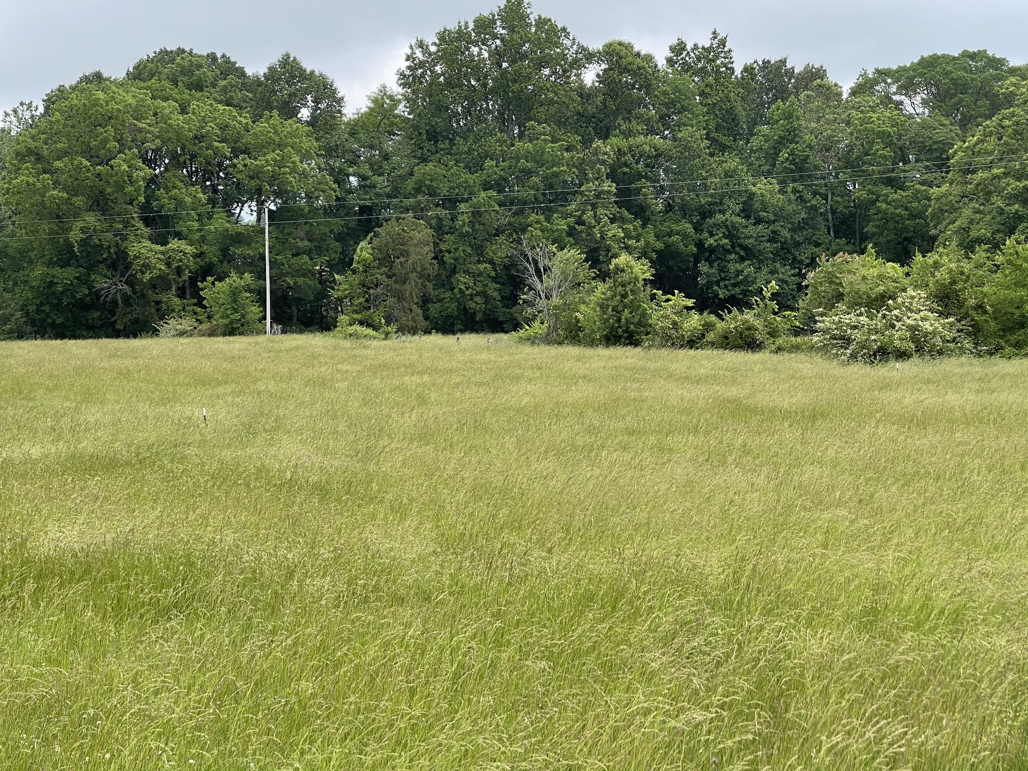 2825 Union Camp Road Lafayette, TN 37083 - Photo 3 of 4 Gallery Image 3