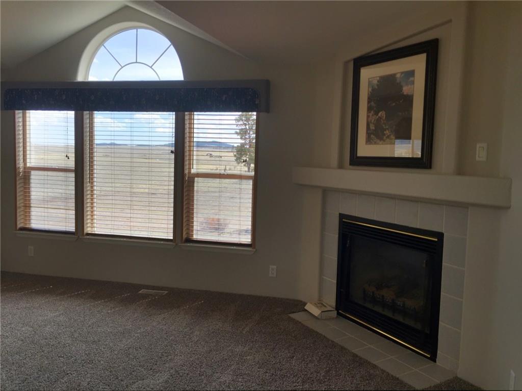 748 Buffalo Ridge Road Como, CO 80432 - Photo 19 of 25 Gallery Image 19