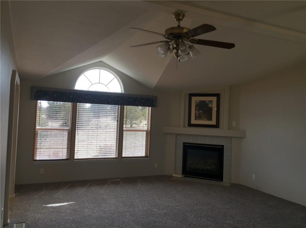 748 Buffalo Ridge Road Como, CO 80432 - Photo 3 of 25 Gallery Image 3