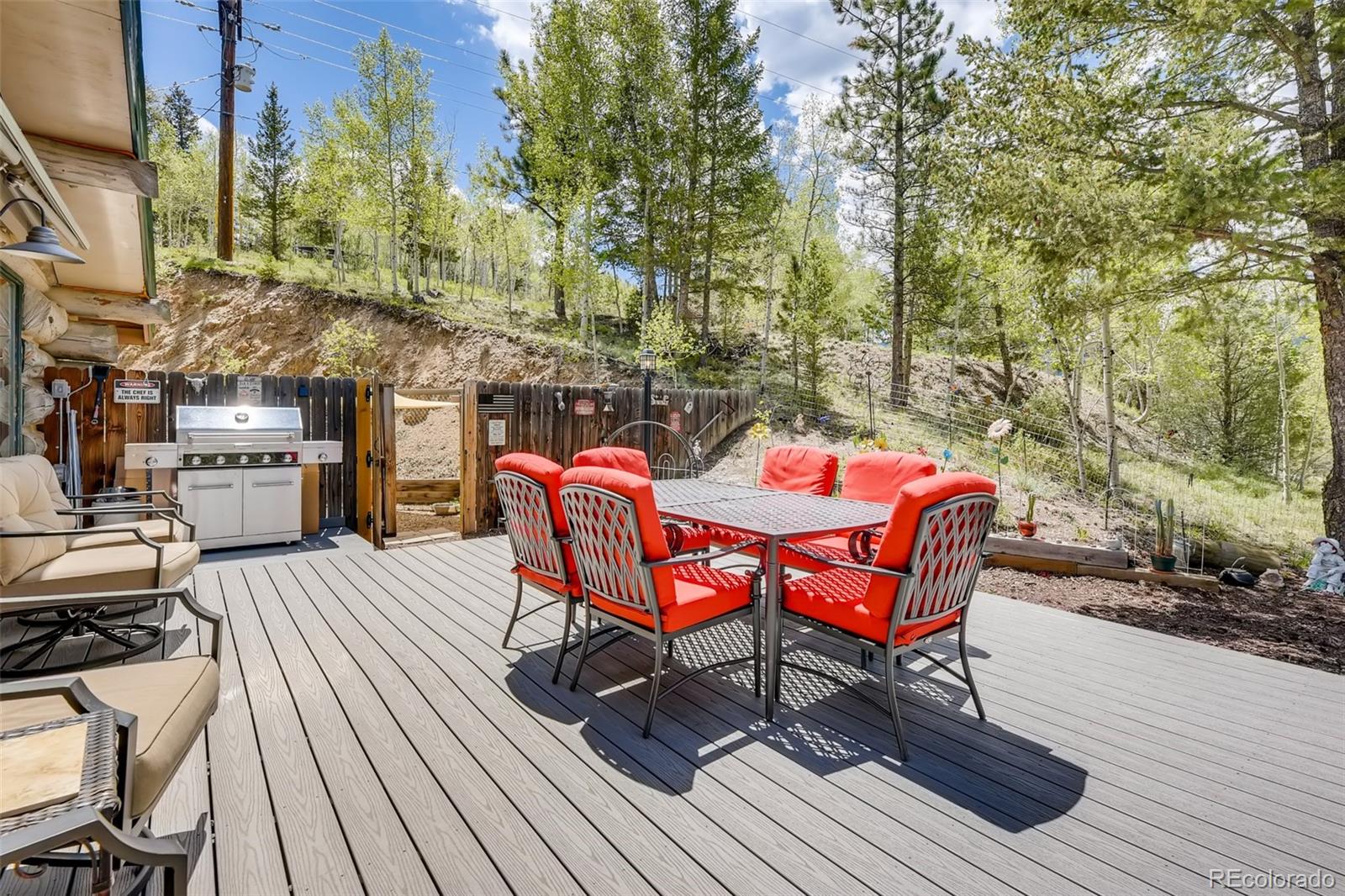 122 Spring Valley Bailey, CO 80421 - Photo 18 of 38 Gallery Image 18