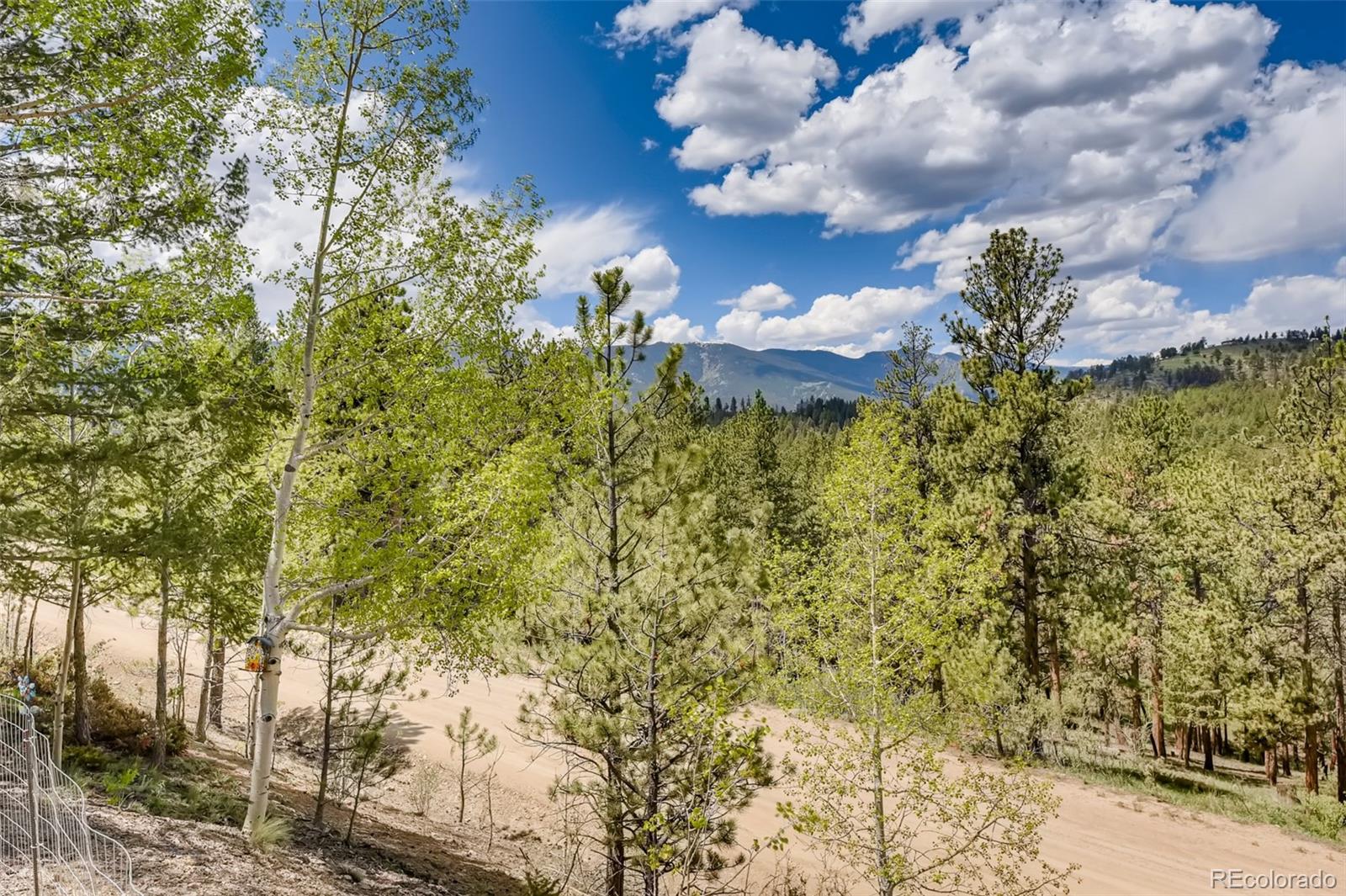 122 Spring Valley Bailey, CO 80421 - Photo 25 of 38 Gallery Image 25