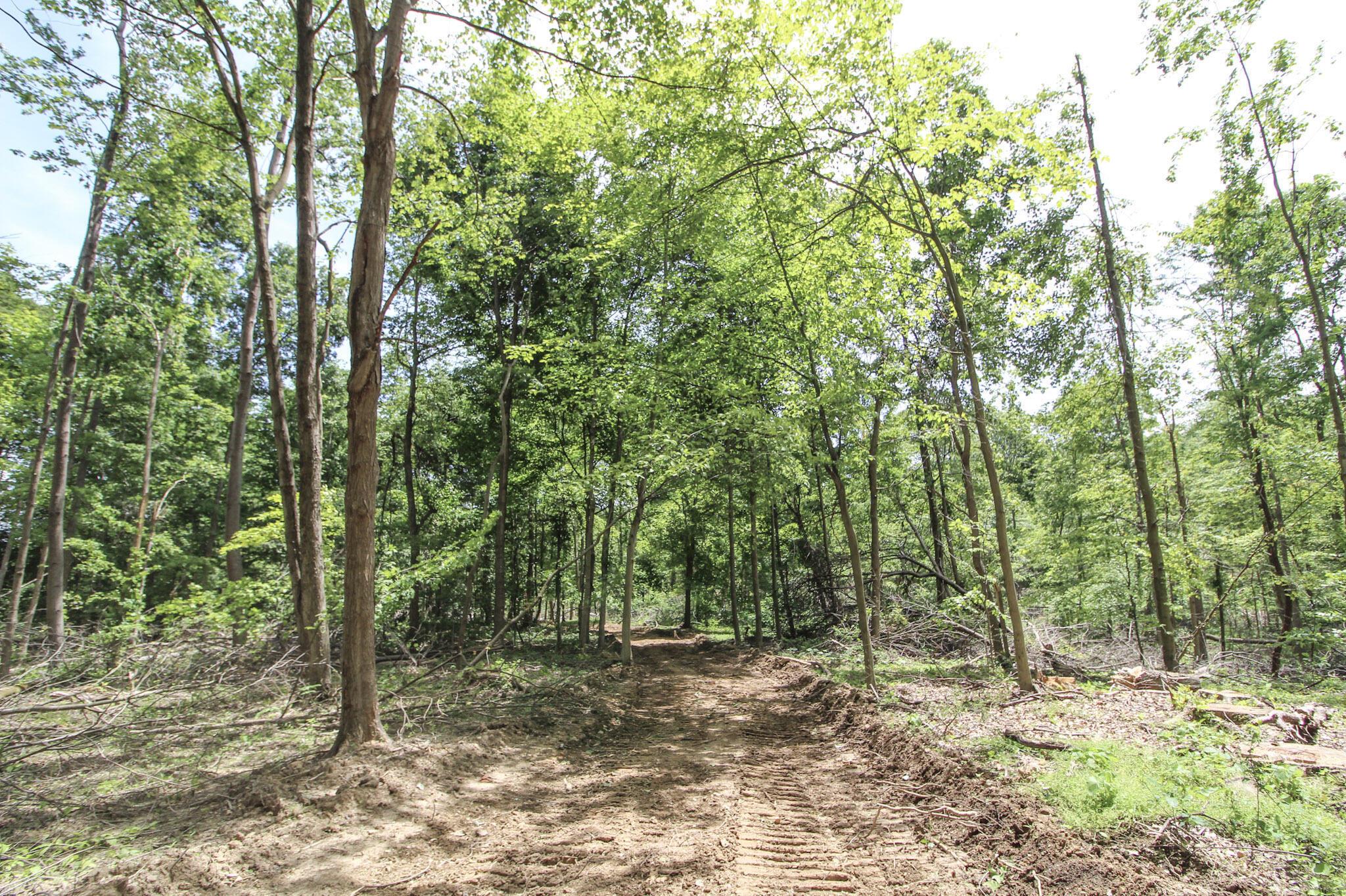 Lot 1 Mulberry Road Mount Perry, OH 43760 - Photo 10 of 31 11-IMG_8657