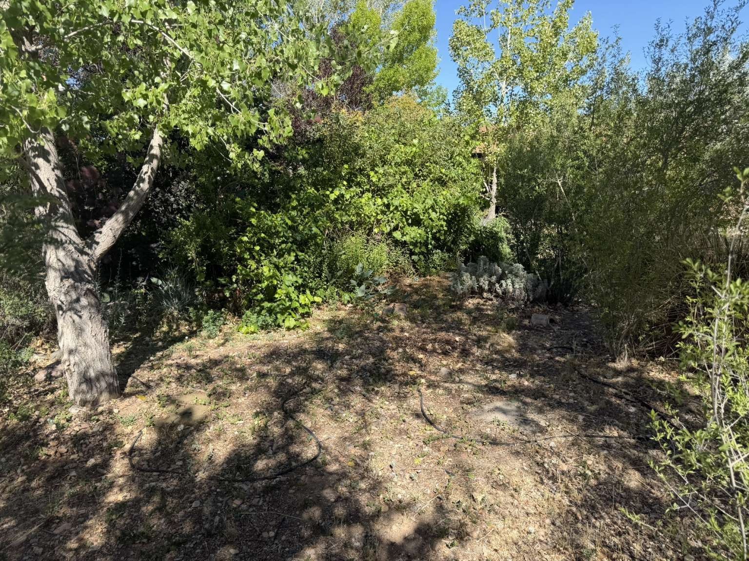 2800 Cerrillos Road, Unit 188 Santa Fe, NM 87507 - Photo 39 of 46