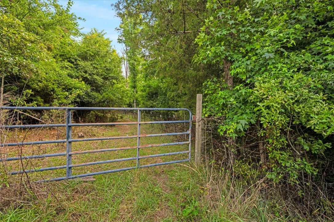 100 Princeton Highway Honea Path, SC 29654 - Photo 34 of 50 Pasture
