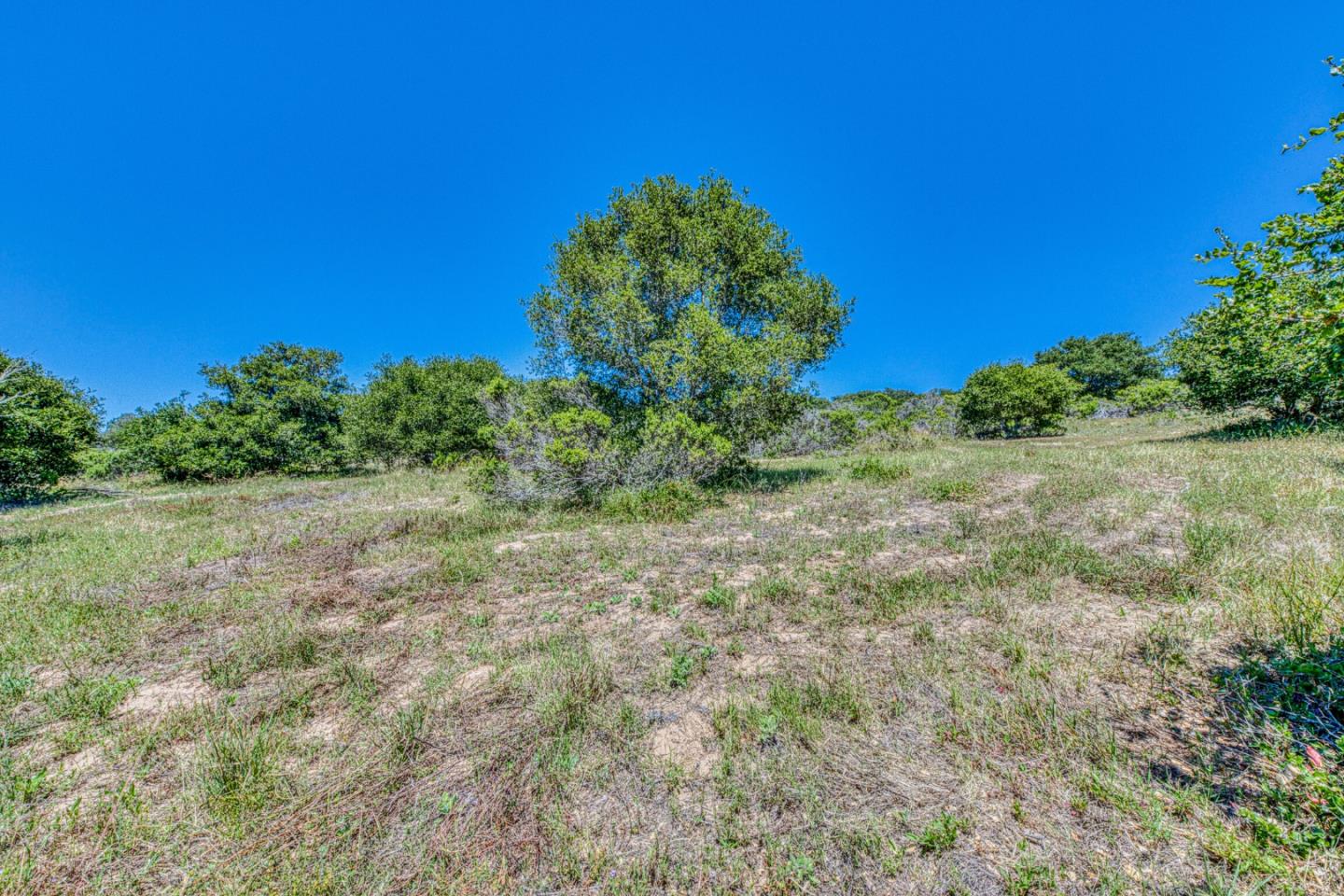 417 B Maher Road Watsonville, CA 95076 - Photo 21 of 37