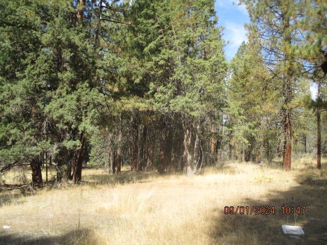 Lot 16 South Packsaddle Circle Beatty, OR 97621 - Photo 6 of 10 IMG_7655