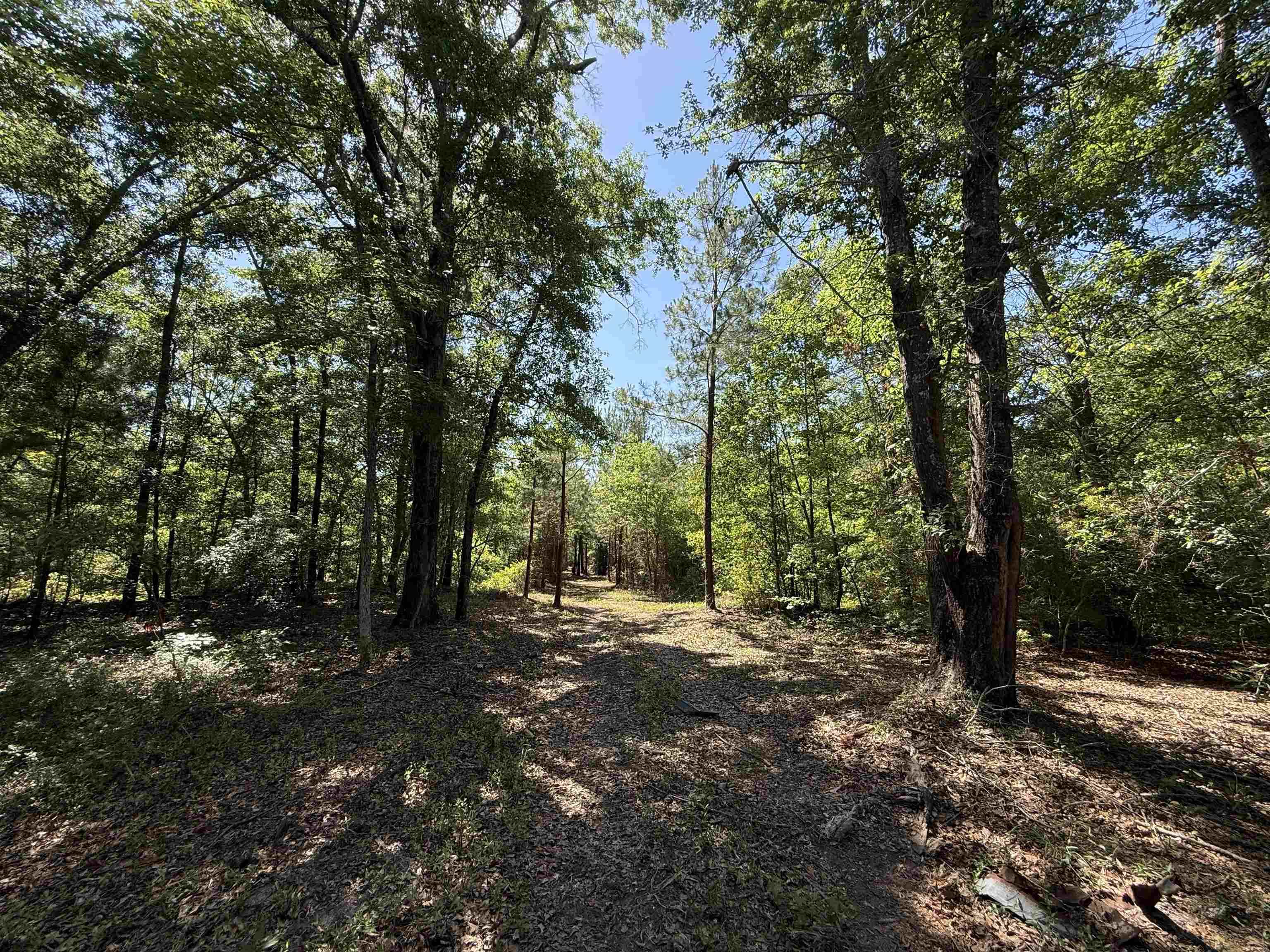 5432 June Burn Road Manning, SC 29102 - Photo 6 of 32