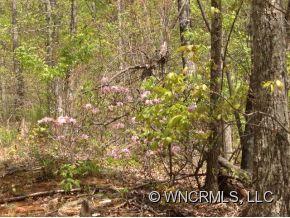 Lot 970 Lake George Road Old Fort, NC 28762 - Photo 2 of 6 Gallery Image 2