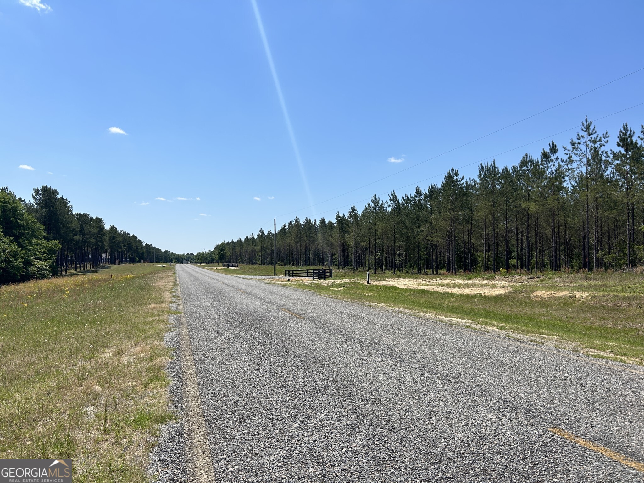 0 Dewey Thomas Road, Unit LOT 12 Dexter, GA 31019 - Photo 11 of 11 a view of a swimming pool and trees in the background