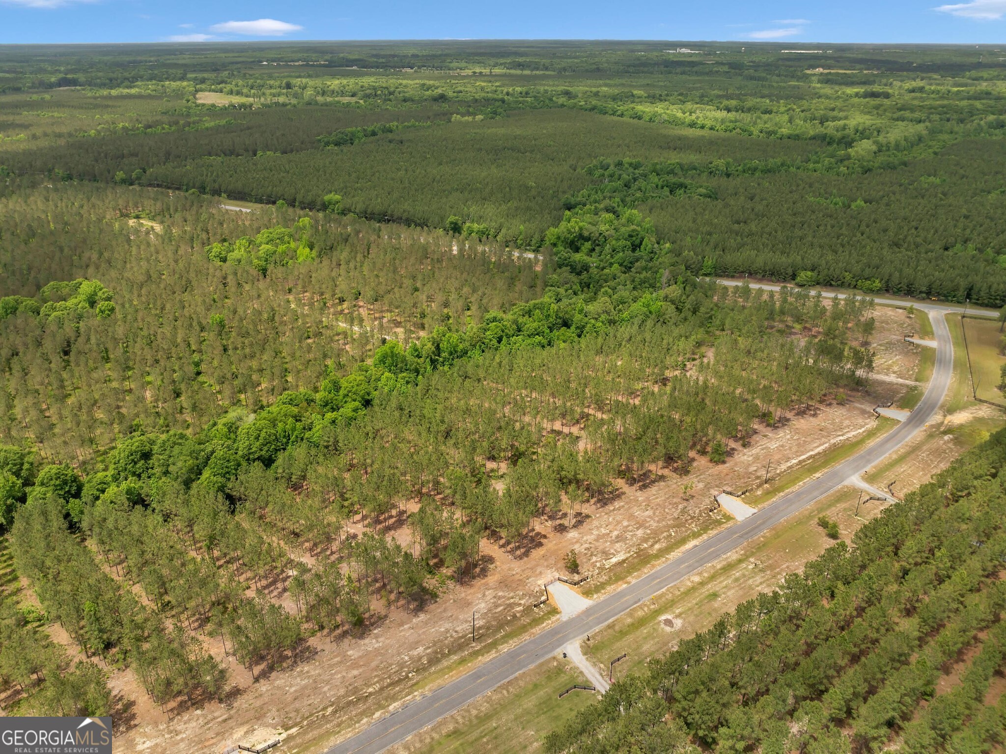 0 Dewey Thomas Road, Unit LOT 12 Dexter, GA 31019 - Photo 2 of 11 a view of a lake from a yard