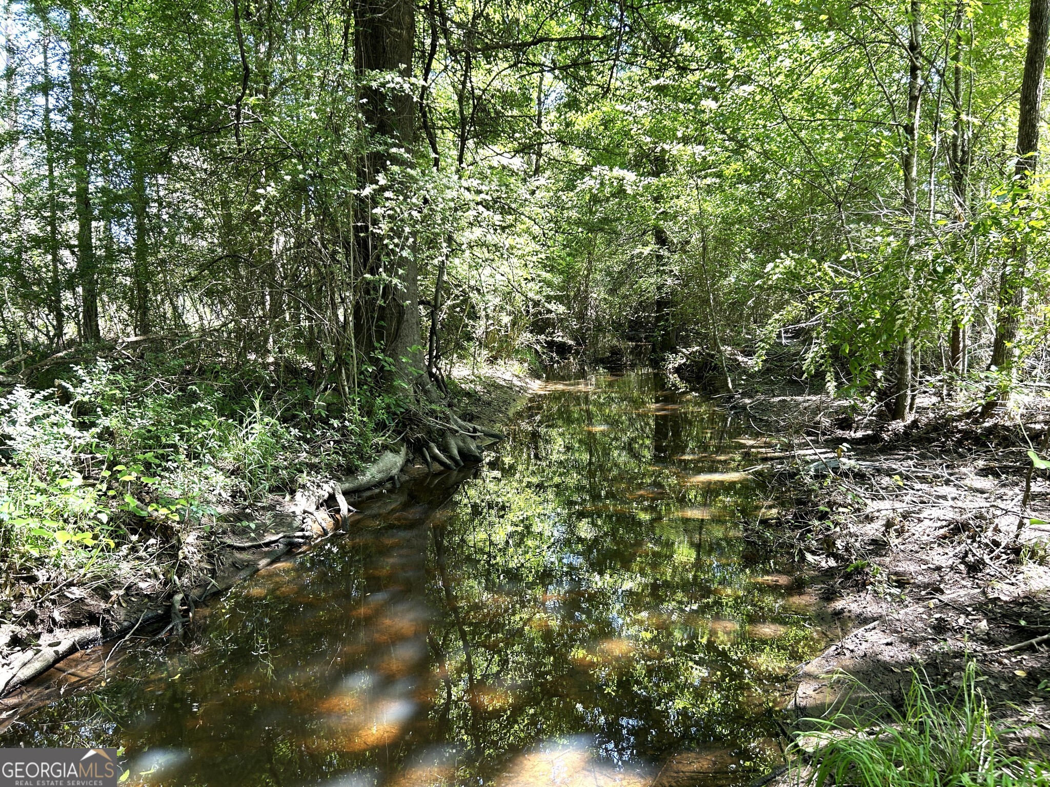 0 Dewey Thomas Road, Unit LOT 12 Dexter, GA 31019 - Photo 7 of 11 a view of outdoor space and covered with green field
