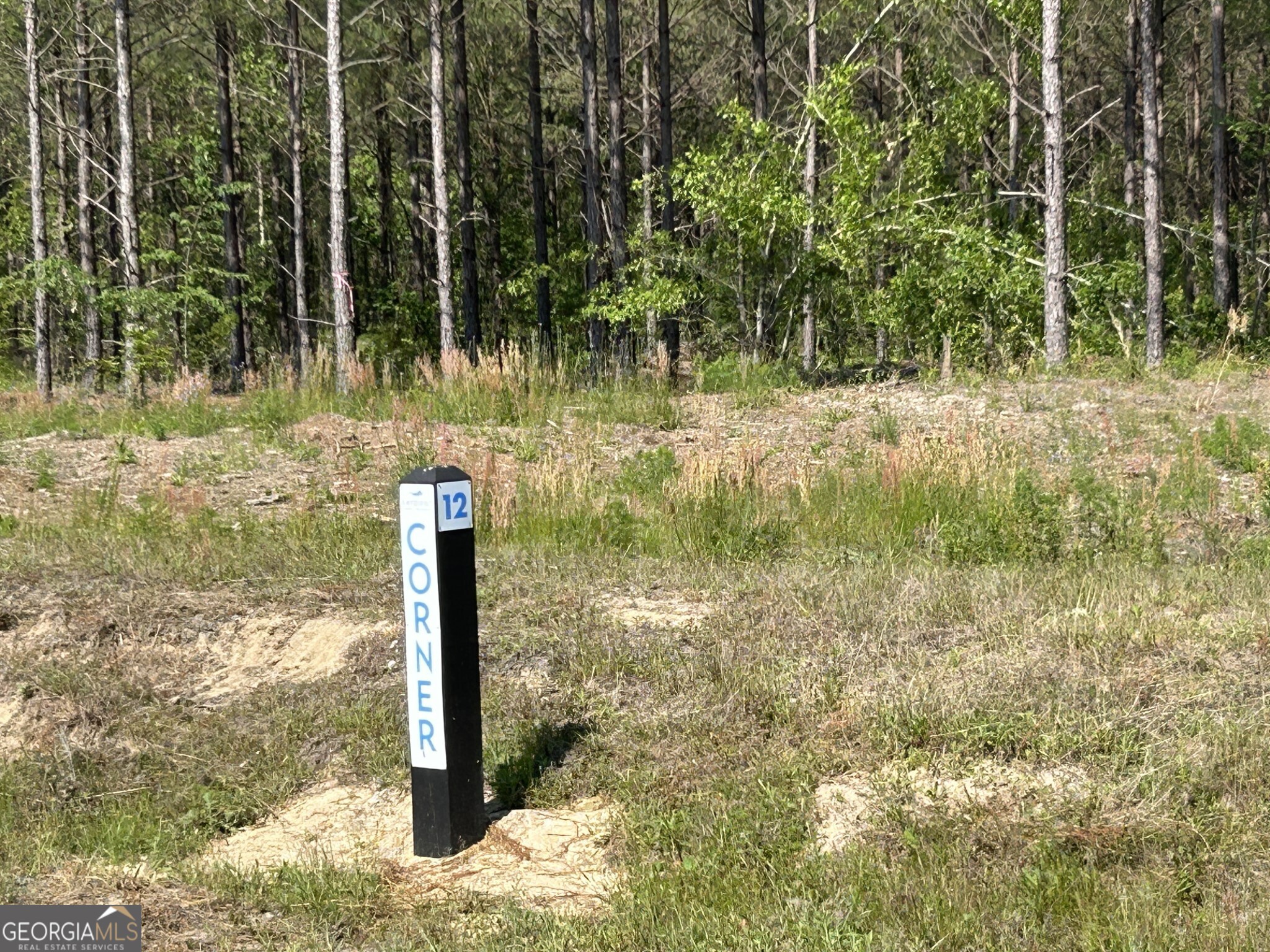 0 Dewey Thomas Road, Unit LOT 12 Dexter, GA 31019 - Photo 8 of 11 a lake view