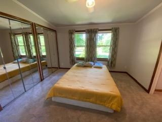 10229 Parmalee Road Middleville, MI 49333 - Photo 18 of 65 IMG_2503
