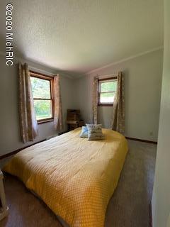 10229 Parmalee Road Middleville, MI 49333 - Photo 21 of 65 IMG_2459