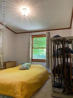10229 Parmalee Road Middleville, MI 49333 - Photo 24 of 65 IMG_2456