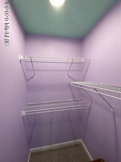 10229 Parmalee Road Middleville, MI 49333 - Photo 26 of 65 IMG_2485