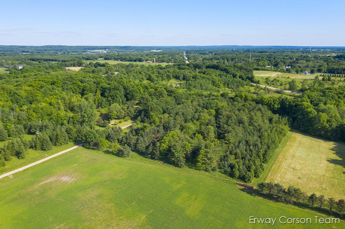 10229 Parmalee Road Middleville, MI 49333 - Photo 51 of 65 IMG_1008