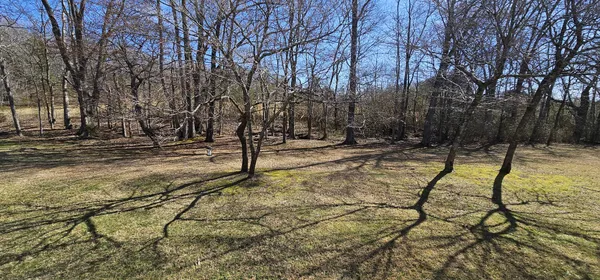a view of a yard with trees