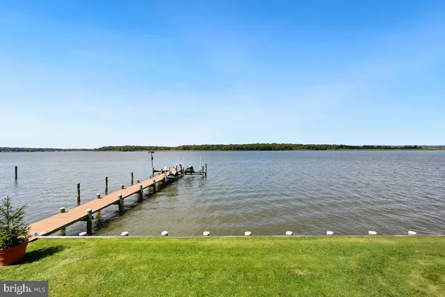 a living room with a bed furniture and a window