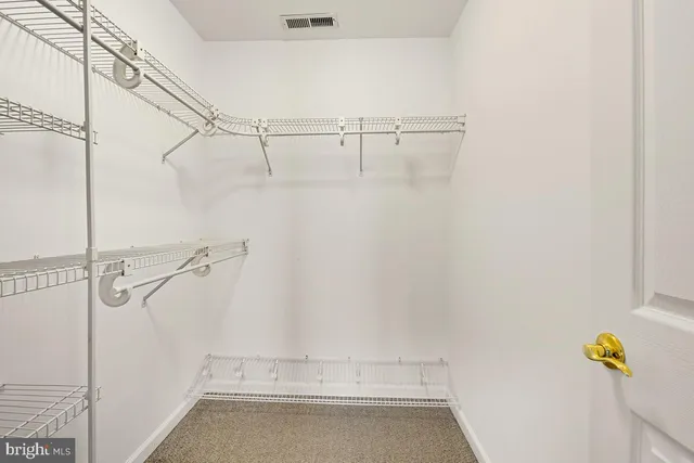 a view of a backyard with plants and lake view