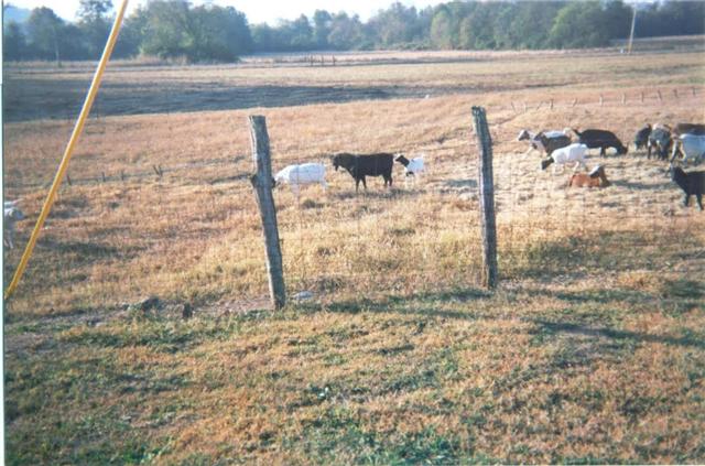 560 Tarpley Shop Road Pulaski, TN 38478 - Photo 1 of 4 Gallery Image 1